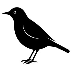 starling bird black silhouette vector, Simple silhouette Design vector icon with white background. Wild bird