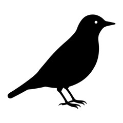 starling bird black silhouette vector, Simple silhouette Design vector icon with white background. Wild bird