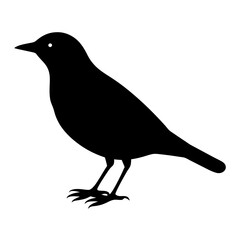 starling bird black silhouette vector, Simple silhouette Design vector icon with white background. Wild bird