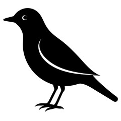 starling bird black silhouette vector, Simple silhouette Design vector icon with white background. Wild bird