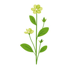 Fototapeta premium A little wildflower clip art illustration graphic leaves vector