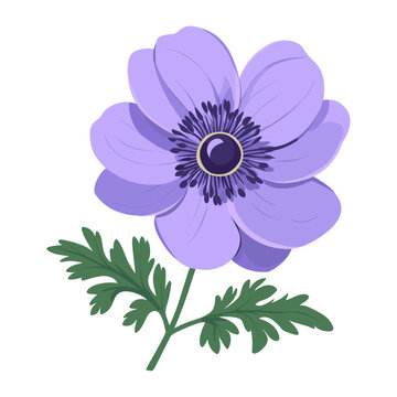 purple anemone flower with green leaves clip art preview