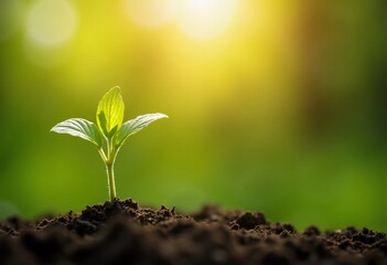 A delicate young plant emerges from rich soil, stretching its tender leaves toward the warm sunlight. This vibrant growth captures the essence of renewal and life Generative AI