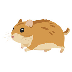 Chinese Hamster hamster illustration cartoon vector