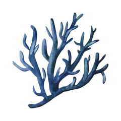 blue coral reef, underwater ocean coral, watercolor art, marine wildlife, sea plants, ocean life, aquatic creatures