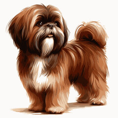 Shih Tzu dog isolated watercolor vector illustration svg