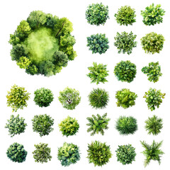 green grass isolated on white background, Set of watercolor tree top view for landscape plan and architecture layout