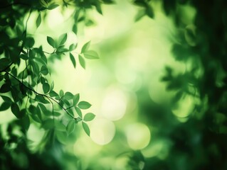 Obraz premium The image showcases a vibrant green forest scene with lush foliage and sunlight filtering through the leaves, creating a serene and natural atmosphere.