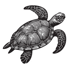 Detailed Vector Sea Turtle Illustration Engraving Style Design for Print
