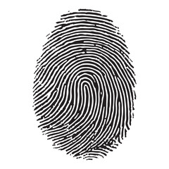 Detailed Fingerprint Pattern Vector Illustration for Identification Purposes