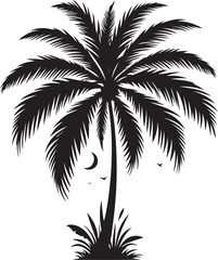 Obraz premium silhouette of palm tree isolated