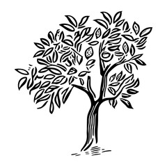 Apple tree art drawing white vector