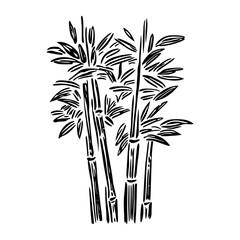 Bamboo tree art drawing illustration vector