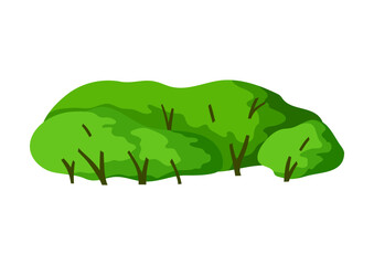 Stylized bush with leaves. Natural summer or spring image.