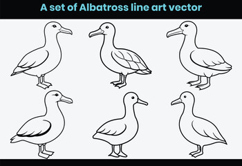 A set of Albatross bird animal line art vector.