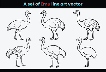 A set of flamingo birds vector or set of Emu animal line art simple flat design.