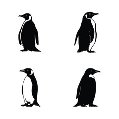 Naklejka premium Penguin silhouette set clipart on a white background