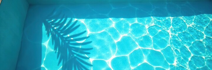 Blue swimming pool with palm leaf shadow and sunlight, tropical vacation background,  sunlight,  shadow