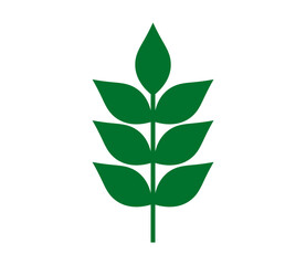 Green leaf symbol. Plant icon flat design element. Vector illustration.