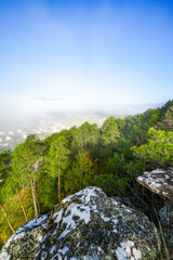 View from the Hahnfels near Erfweiler in the Palatinate region with the surrounding natural landscape at the red sandstone cliff.
