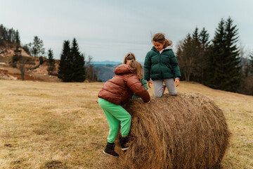 Sisters playing joyfully on a hay bale in a picturesque mountain meadow, relishing their time...