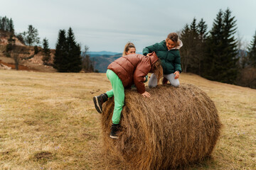 Sisters playing joyfully and climbing on a round hay bale in a picturesque field, relishing their...