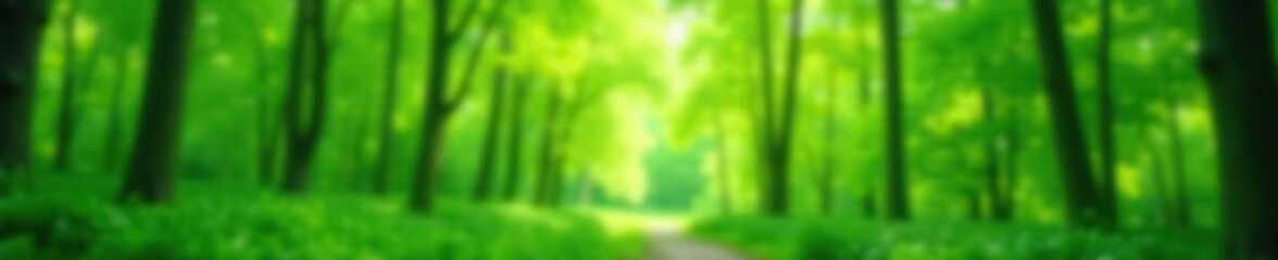 Blurred background of lush green forest with soft focus effect,  beauty,  wilderness