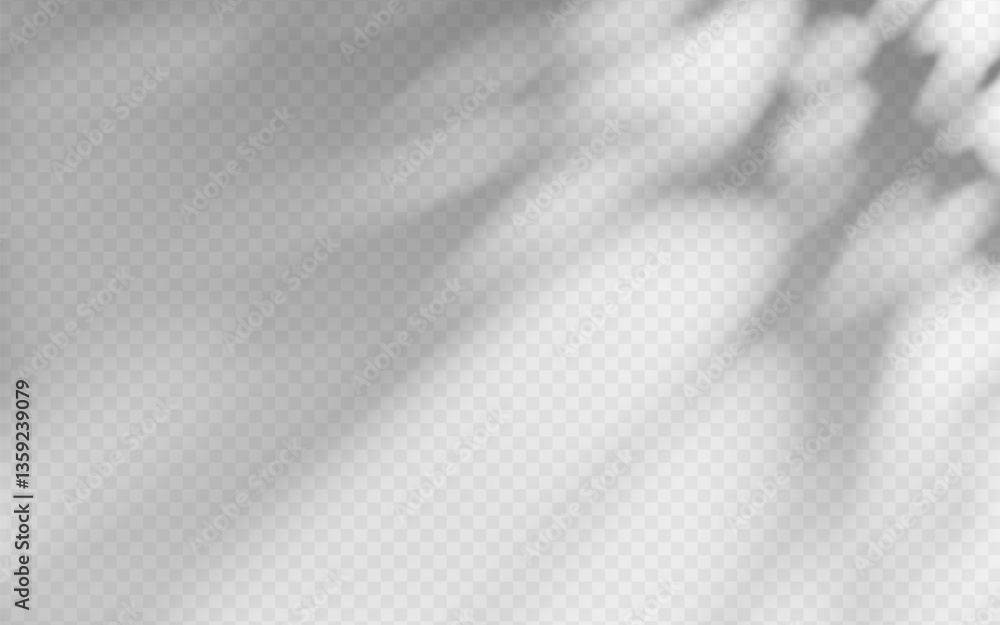 Poster abstract shadow overlay from foliage on a transparent background.