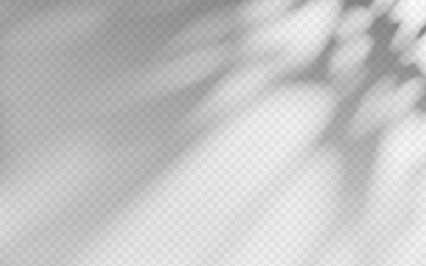 Abstract shadow overlay from foliage on a transparent background.