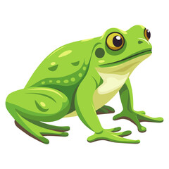 Fototapeta premium Frog frog illustration amphibian vector