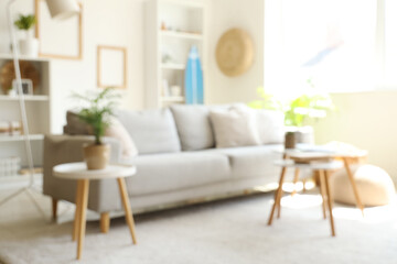 Comfortable sofa and coffee tables in living room