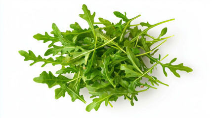 Fresh arugula leaves isolated on white background for healthy organic salad dishes