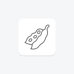 Soybean, vector, pixel perfect, illustrator file