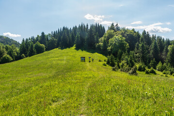 Springtime Velka Fatra mountains in Slovakia with fresh meadows and forest © honza28683