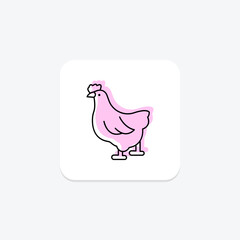 Poultry, vector, pixel perfect, illustrator file