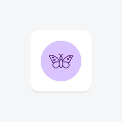 Butterfly, vector, pixel perfect, illustrator file