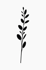 Fototapeta premium Minimalist black silhouette plant vector
