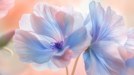 Delicate pastel colored flowers with softly blurred backgrounds are displayed