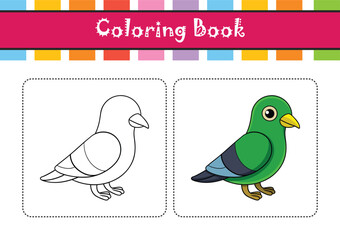  Charming African Green Pigeon Illustration