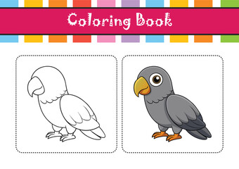  Stunning African Grey Parrot Design