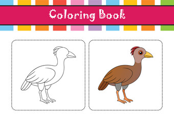  Detailed Illustration of African Rail Bird