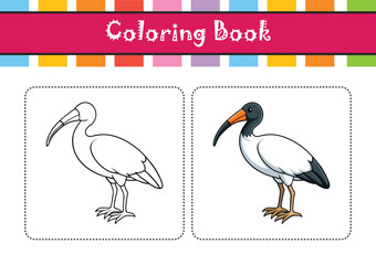  Beautifully Illustrated Sacred Ibis Bird