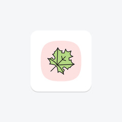 Maple Leaf, vector, pixel perfect, illustrator file