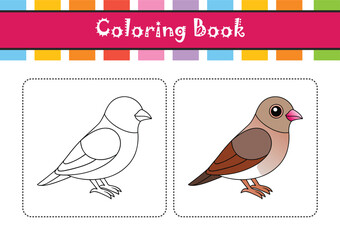  Stunning African Silverbill Bird Detailed Illustration