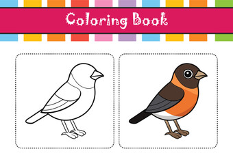  Stunning African Stonechat Bird Detailed Illustration