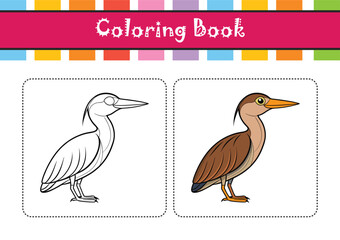 Obraz premium Charming American Bittern Bird Illustration