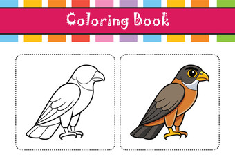  Charming Amur Falcon Illustration