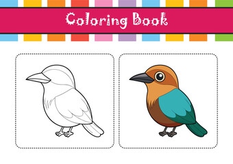  Realistic Andean Motmot Illustration