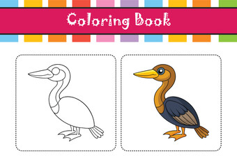 Obraz premium Realistic Anhinga Illustration