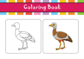  Realistic Arabian Bustard Bird Illustration